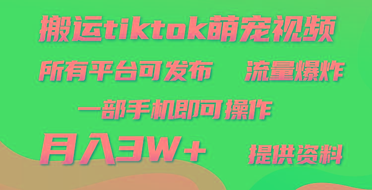 (9618期)搬运Tiktok萌宠类视频，一部手机即可。所有短视频平台均可操作，月入3W+-简创项目网