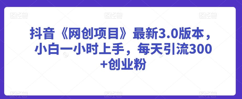 抖音《网创项目》最新3.0版本，小白一小时上手，每天引流300+创业粉【揭秘】-简创项目网