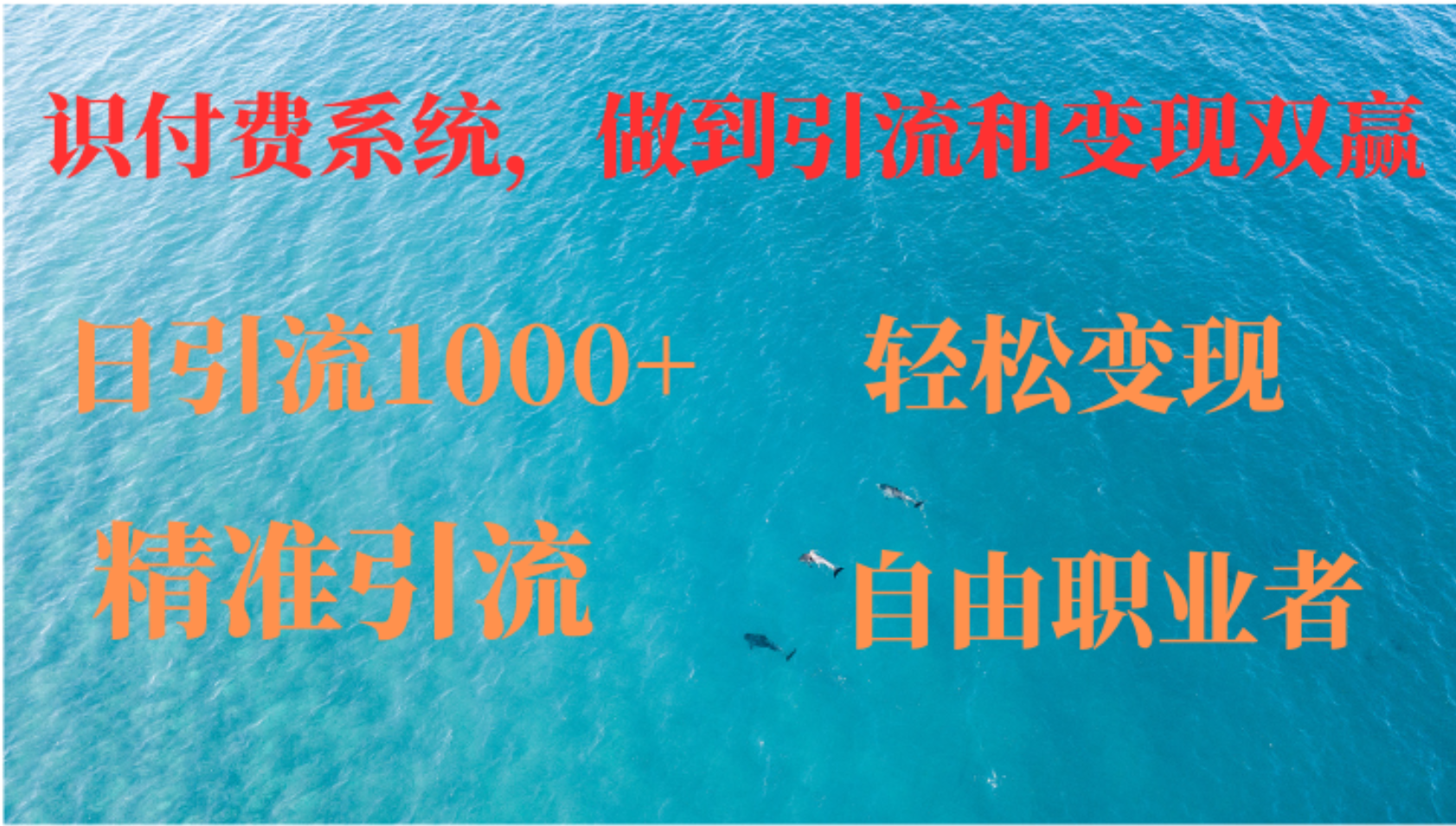 如何搭建自己的知识付费系统，做到引流和变现双赢-简创项目网