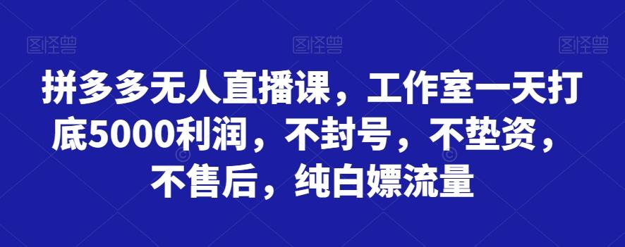 拼多多无人直播课，工作室一天打底5000利润，不封号，不垫资，不售后，纯白嫖流量-简创项目网