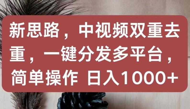 新思路，中视频双重去重，一键分发多平台，简单操作，日入1000+【揭秘】-简创项目网