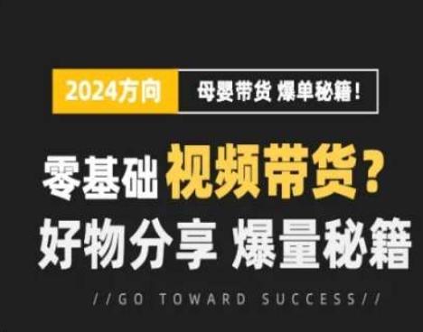 短视频母婴赛道实操流量训练营，零基础视频带货，好物分享，爆量秘籍-简创项目网
