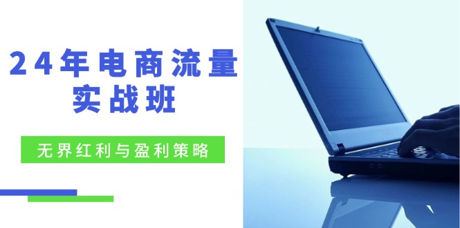 24年电商流量实战班：无界 红利与盈利策略，终极提升/关键词优化/精准…-简创项目网