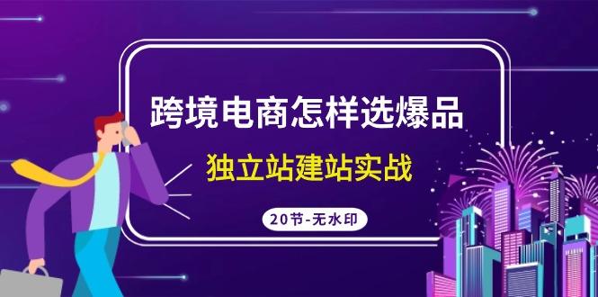 (9369期)跨境电商怎样选爆品，独立站建站实战(20节高清无水印课)-简创项目网