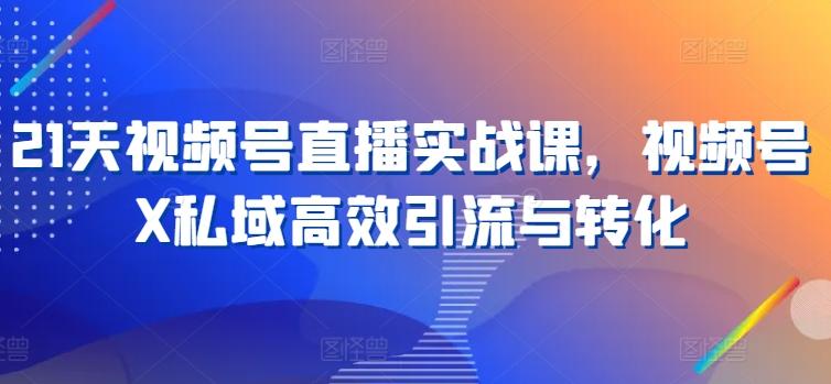 21天视频号直播实战课，视频号X私域高效引流与转化-简创项目网