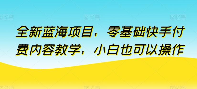 全新蓝海项目，零基础快手付费内容教学，小白也可以操作【揭秘】-简创项目网