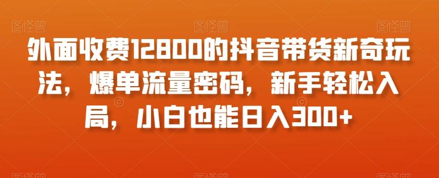 外面收费12800的抖音带货新奇玩法，爆单流量密码，新手轻松入局，小白也能日入300+【揭秘】-简创项目网