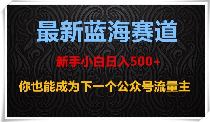 最新蓝海赛道，新手小白日入500+，你也能成为下一个公众号流量主【揭秘】-简创项目网