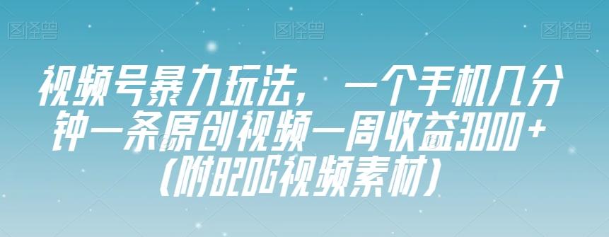 视频号暴力玩法，一个手机几分钟一条原创视频一周收益3800+（附820G视频素材）-简创项目网