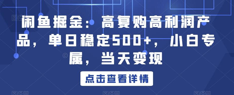 闲鱼掘金：高复购高利润产品，单日稳定500+，小白专属，当天变现-简创项目网