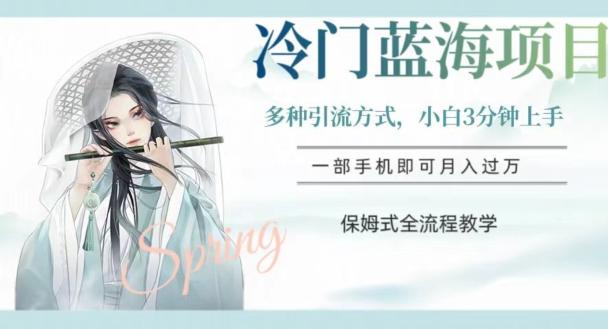 冷门蓝海项目，操作简单，小白3分钟上手，多种引流方式，保姆式全流程教学【揭秘】-简创项目网