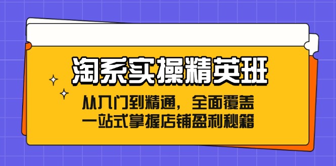 淘系实操精英班：从入门到精通，全面覆盖，一站式掌握店铺盈利秘籍-简创项目网