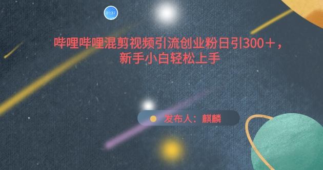 哔哩哔哩混剪视频引流创业粉日引300+，新手小白轻松上手【揭秘】-简创项目网