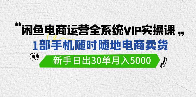(9547期)闲鱼电商运营全系统VIP实战课，1部手机随时随地卖货，新手日出30单月入5000-简创项目网