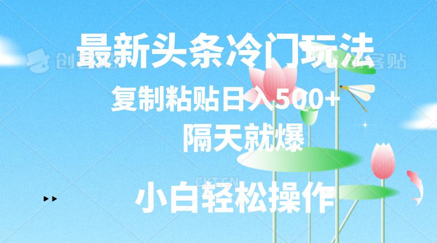 最新头条冷门玩法，隔天就爆，复制粘贴日入500+-简创项目网