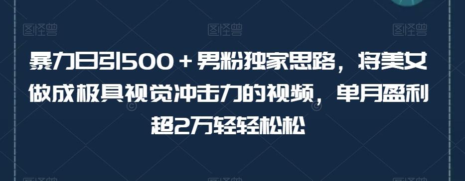 暴力日引500＋男粉独家思路，将美女做成极具视觉冲击力的视频，单月盈利超2万轻轻松松-简创项目网