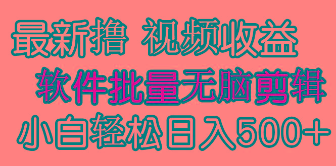 (9569期)发视频撸收益，软件无脑批量剪辑，第一天发第二天就有钱-简创项目网