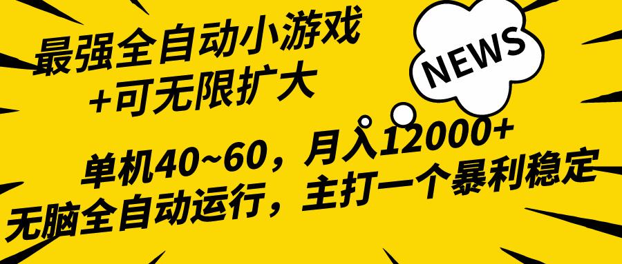 (10046期)2024最新全网独家小游戏全自动，单机40~60,稳定躺赚，小白都能月入过万-简创项目网