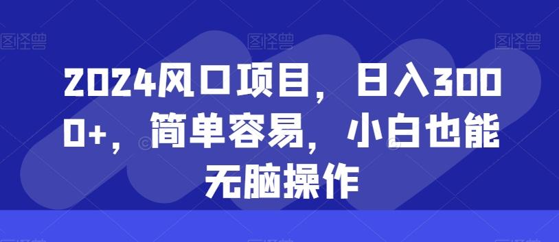 2024风口项目，日入3000+，简单容易，小白也能无脑操作-简创项目网