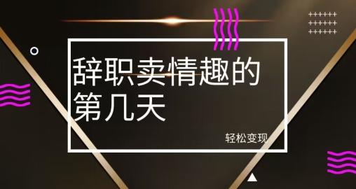冷门赛道，辞职卖情趣的第几天，超暴力项目-简创项目网