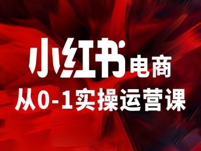 小红书电商从0-1实操运营课，让你从小白到精英-简创项目网