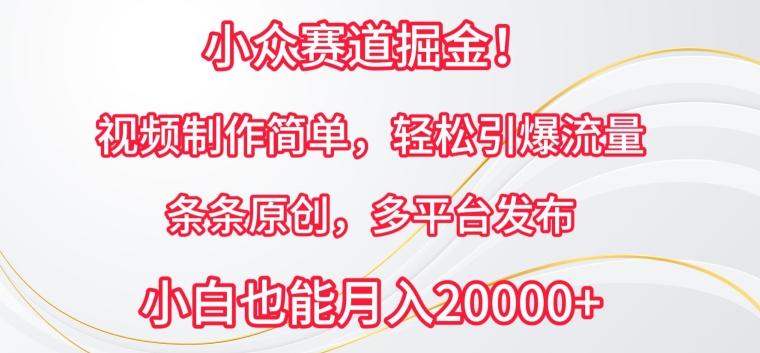 小众赛道掘金，视频制作简单，轻松引爆流量，条条原创，多平台发布【揭秘】-简创项目网