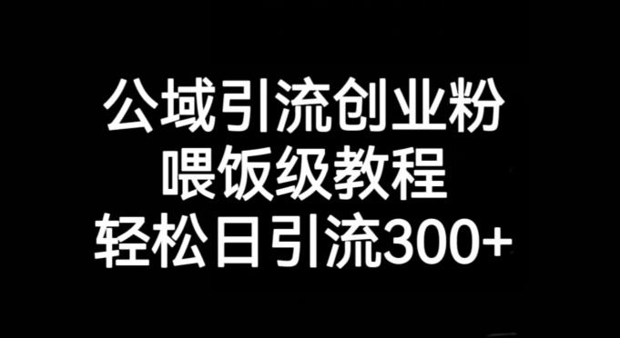 公域引流创业粉，喂饭级教程，轻松日引流300+【揭秘】-简创项目网