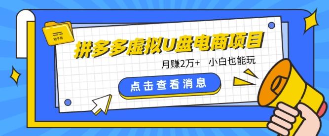 拼多多虚拟U盘电商红利项目：月赚2万+，新手小白也能玩-简创项目网