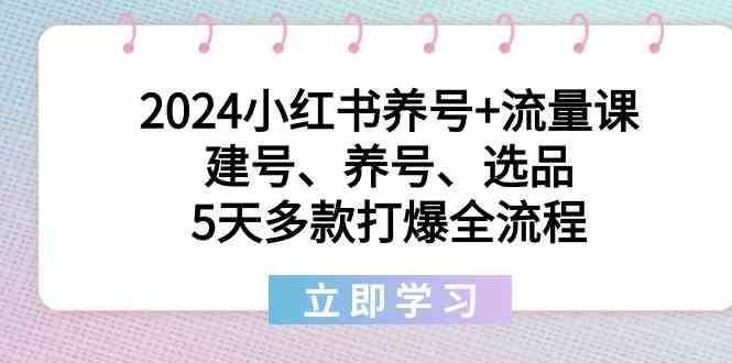 2024小红书养号+流量课：建号、养号、选品，5天多款打爆全流程-简创项目网