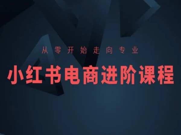 从零开始走向专业，小红书电商进阶课程-简创项目网