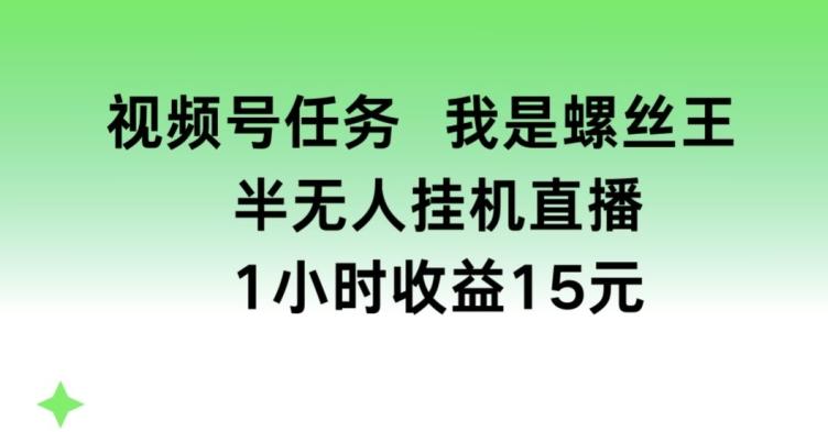 视频号任务，我是螺丝王， 半无人挂机1小时收益15元【揭秘】-简创项目网