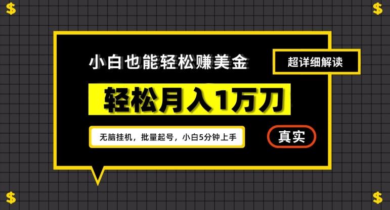 谷歌看广告撸美金2.0，无脑挂机，多号操作，月入1万刀【揭秘】-简创项目网