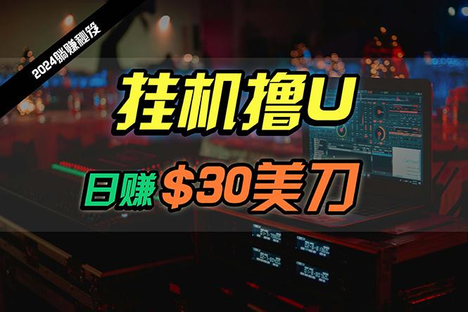 (10013期)日赚30美刀，2024最新海外挂机撸U内部项目，全程无人值守，可批量放大-简创项目网