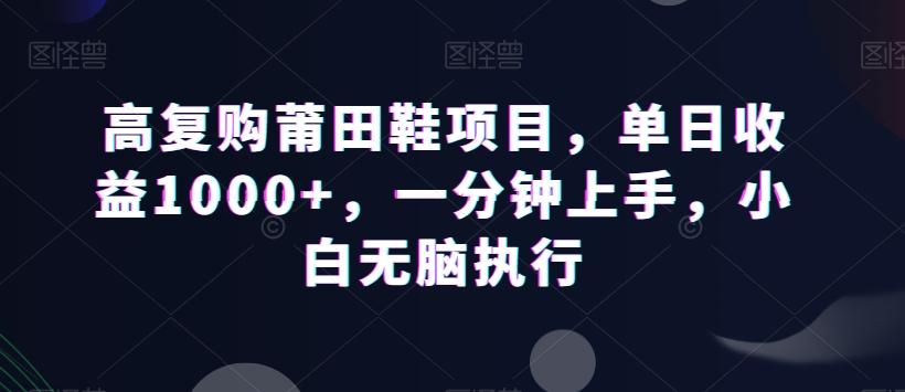 高复购莆田鞋项目，单日收益1000+，一分钟上手，小白无脑执行-简创项目网