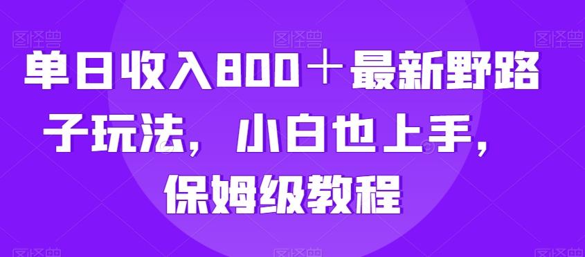 单日收入800＋最新野路子玩法，小白也上手，保姆级教程-简创项目网