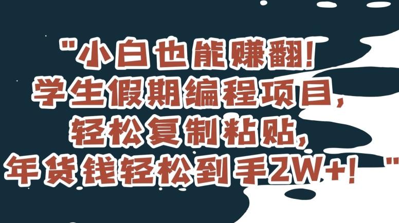 小白也能赚翻！学生假期编程项目，轻松复制粘贴，年货钱轻松到手2W+【揭秘】-简创项目网