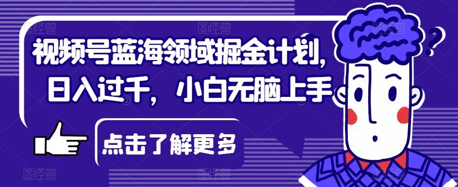 视频号蓝海领域掘金计划，日入过千，小白无脑上手【揭秘】-简创项目网