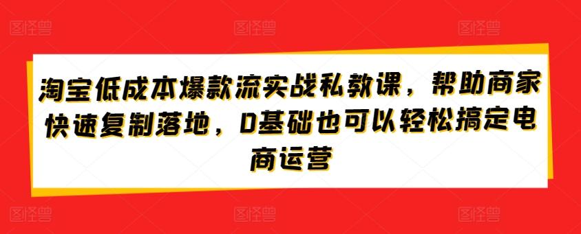 淘宝低成本爆款流实战私教课，帮助商家快速复制落地，0基础也可以轻松搞定电商运营-简创项目网