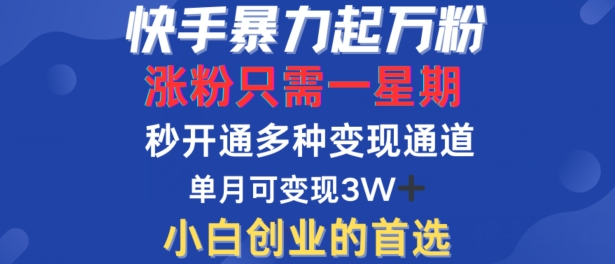 快手暴力起万粉，涨粉只需一星期，多种变现模式，直接秒开万合，单月变现过W【揭秘】-简创项目网