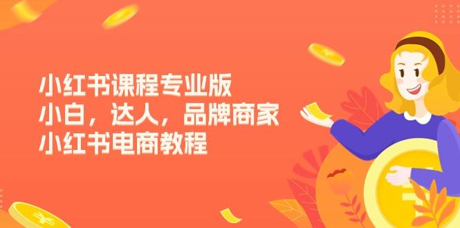 小红书课程专业版，小白，达人，品牌商家，小红书电商教程(15节-简创项目网