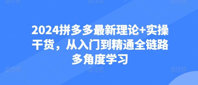 2024拼多多最新理论+实操干货，从入门到精通全链路多角度学习-简创项目网