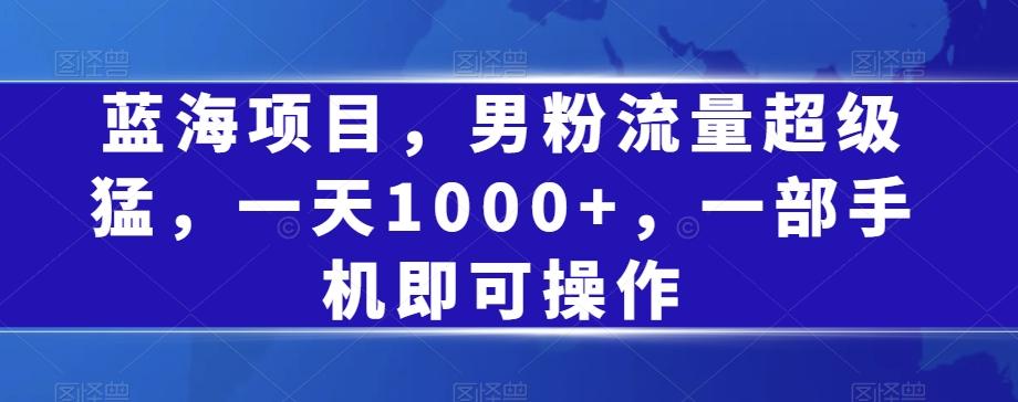 蓝海项目，男粉流量超级猛，一天1000+，一部手机即可操作【揭秘】-简创项目网