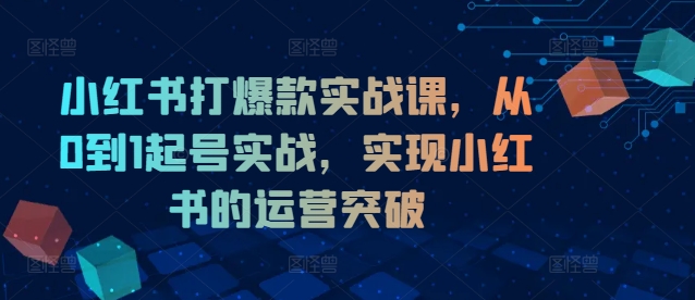 小红书打爆款实战课，从0到1起号实战，实现小红书的运营突破-简创项目网