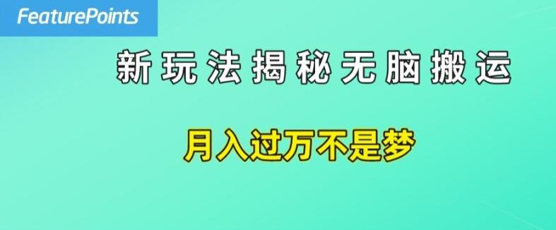 简单操作，每天50美元收入，搬运就是赚钱的秘诀【揭秘】-简创项目网
