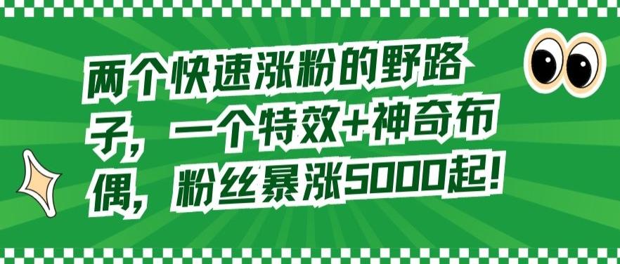 两个快速涨粉的野路子，一个特效+神奇布偶，粉丝暴涨5000起【揭秘】-简创项目网