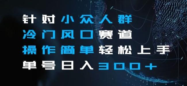 针对小众人群冷门风口赛道，操作简单轻松上手单号日入300+-简创项目网
