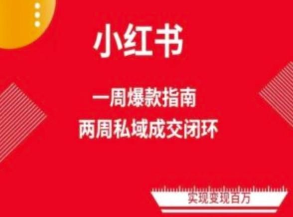 爆款小红书免费流量体系课程(两周变现)，小红书电商教程-简创项目网