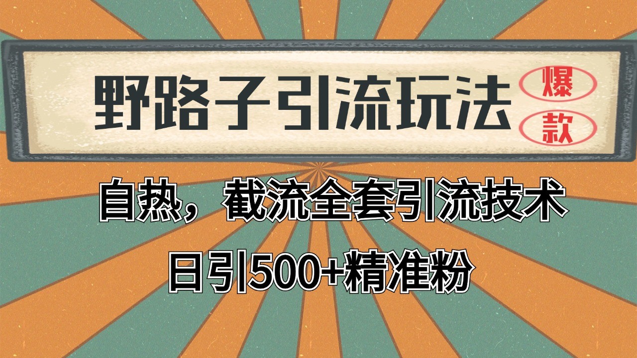 抖音小红书视频号全平台引流打法，全自动引流日引2000+精准客户-简创项目网