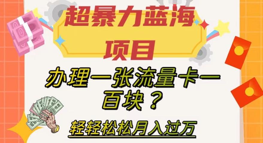 超暴力蓝海项目，办理一张流量卡一百块？轻轻松松月入过万，保姆级教程【揭秘】-简创项目网