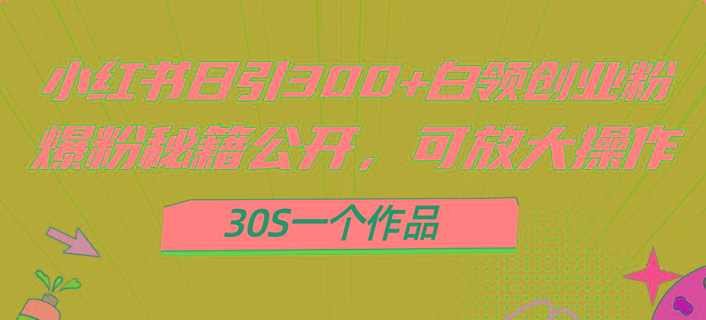 小红书日引300+高质白领创业粉，可放大操作，爆粉秘籍！30s一个作品-简创项目网